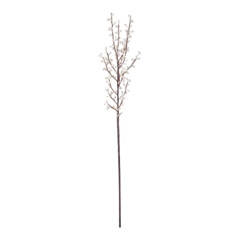 Ilex Branch 35