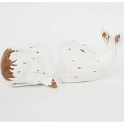 Sperm Whale Bookends