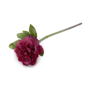 Peony Stem with Leaves, 18" -Beauty