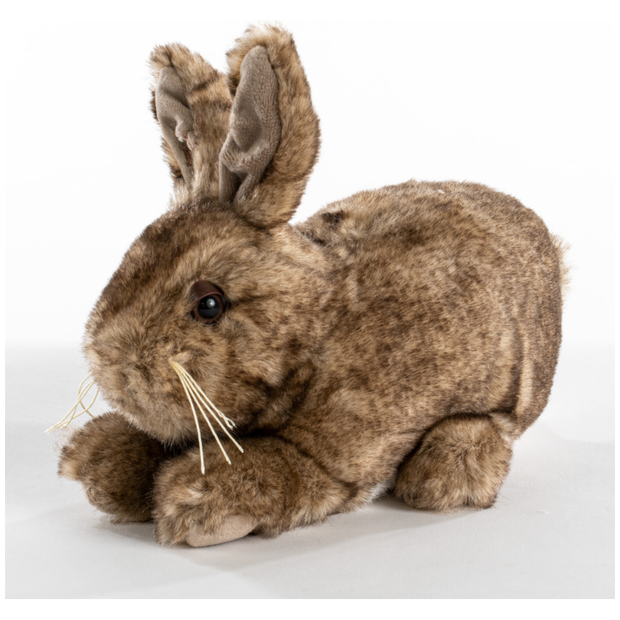 Baby Bunny Natural Brown