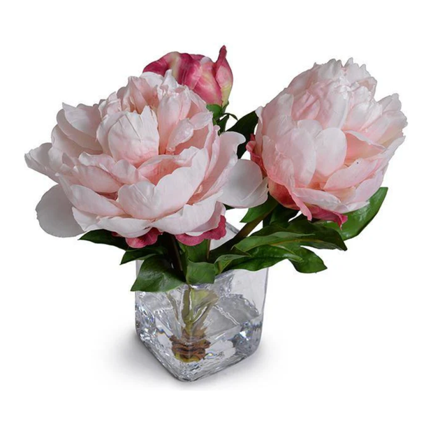 Peony Cutting in Glass- 10"H
