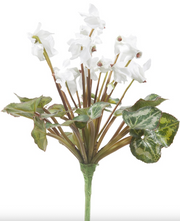 Cyclamen Spray Stem