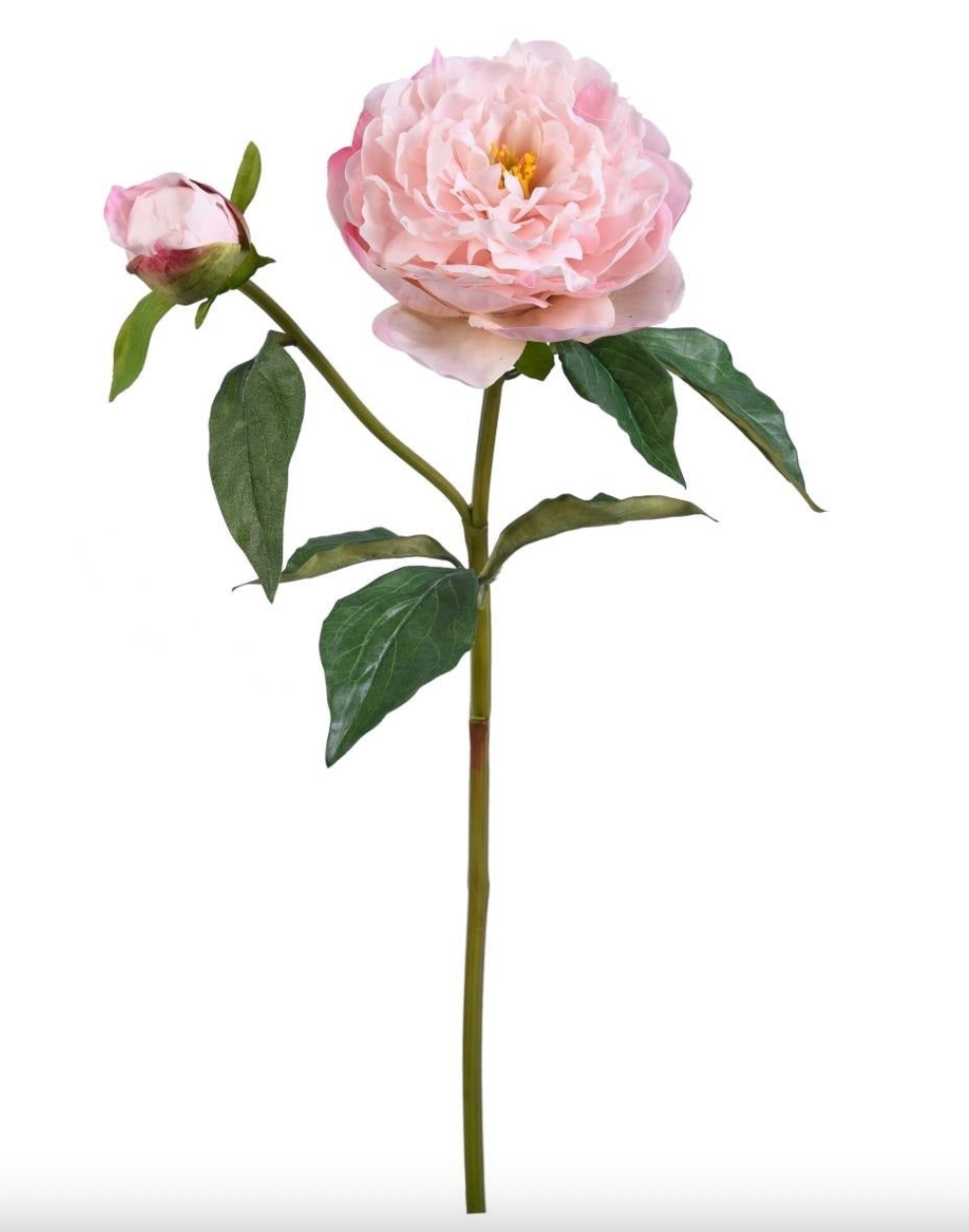 Peony Natural Touch Stem