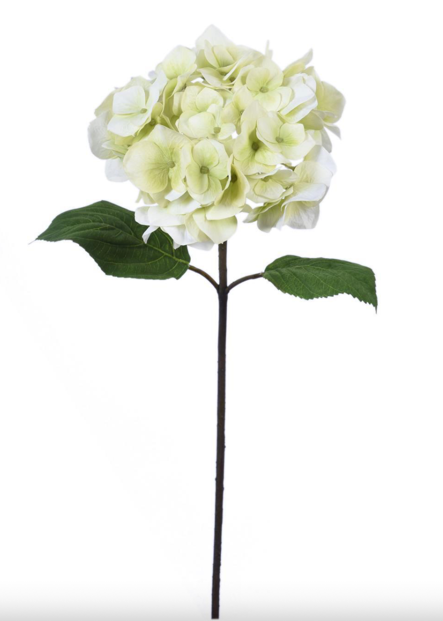 Hydrangea Natural Touch Stem