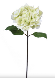 Hydrangea Natural Touch Stem