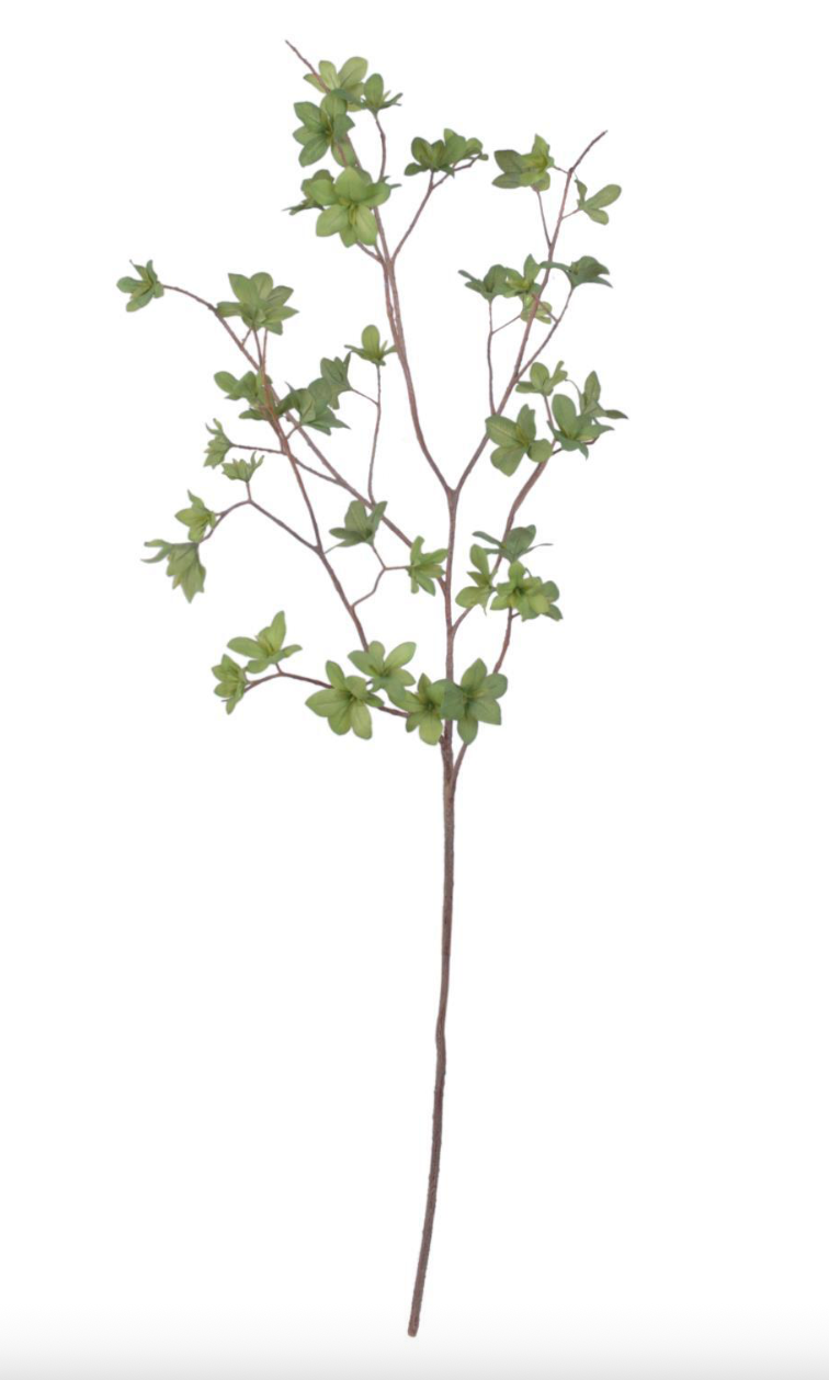 Young Leaf Spray Stem