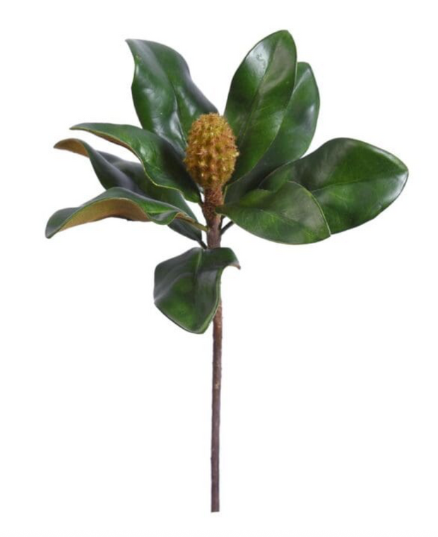 Magnolia Spray Stem