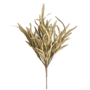 Green Eva Grass Bush