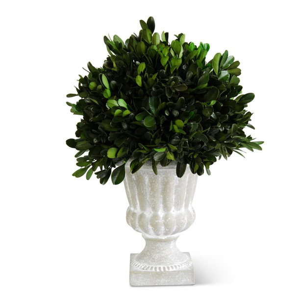 11 inch Round Boxwood in Gray Urn