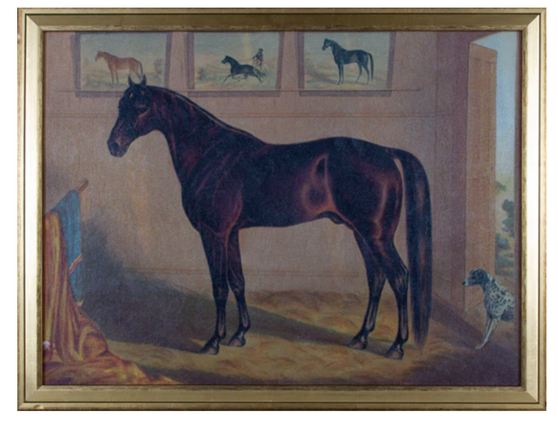 America's Renowned Stallion