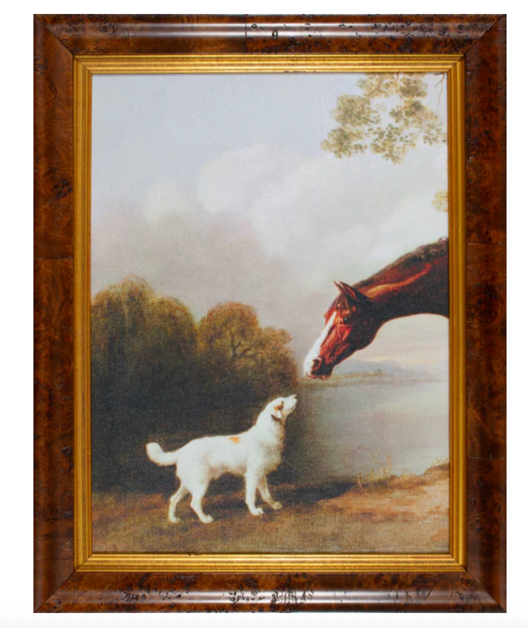 Bay Horse & Dog