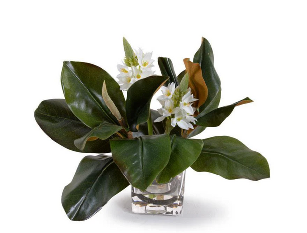 Magnolia & Star of Bethlehem - 20"