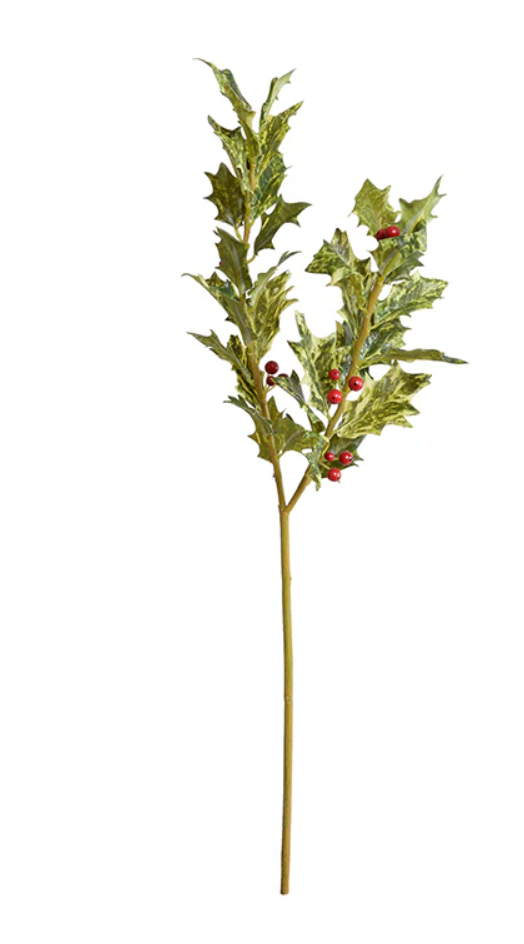 Holly Branch with Red Berries - 20