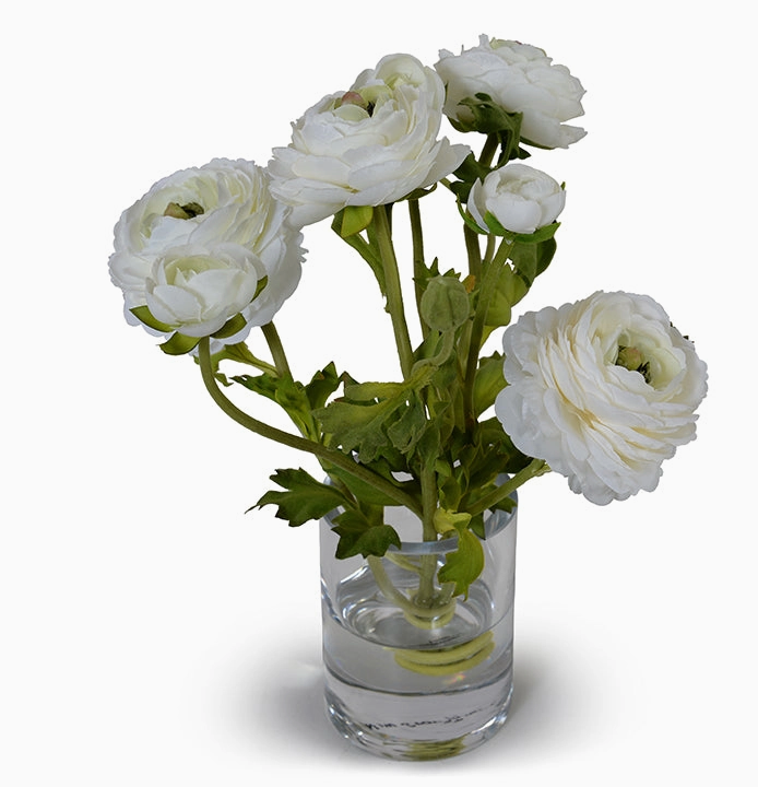 Ranunculus in 4
