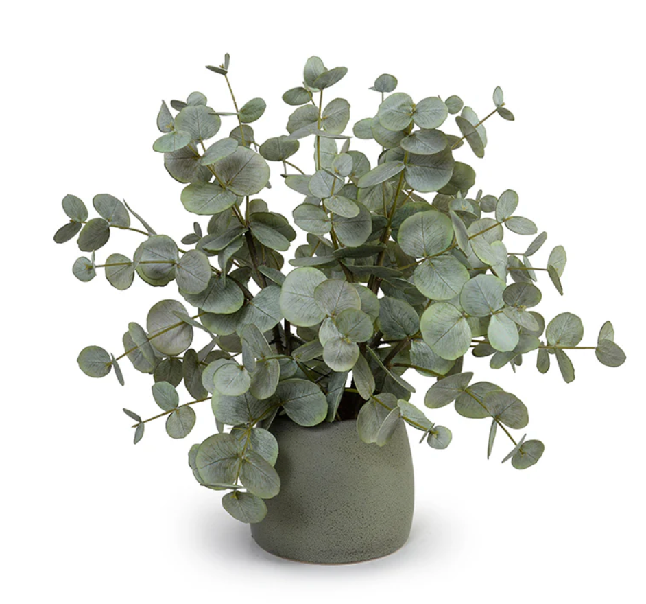 Eucalyptus Bouquet in Black Porcelain Planter, 21
