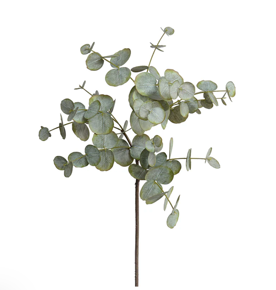 Eucalyptus Leaf Spray- 34