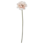 Peony Garden Lace Stem