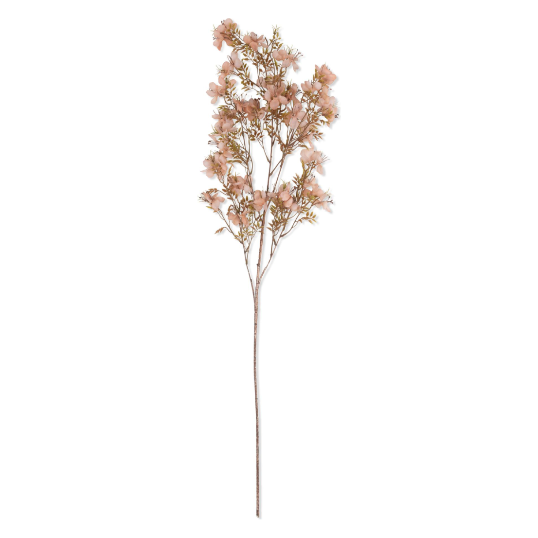 Prunus Blossom Stem