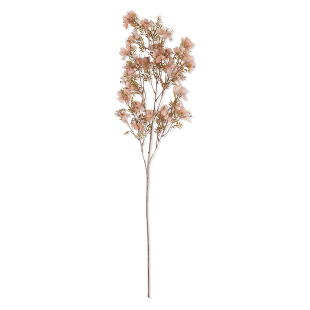 Prunus Blossom Stem
