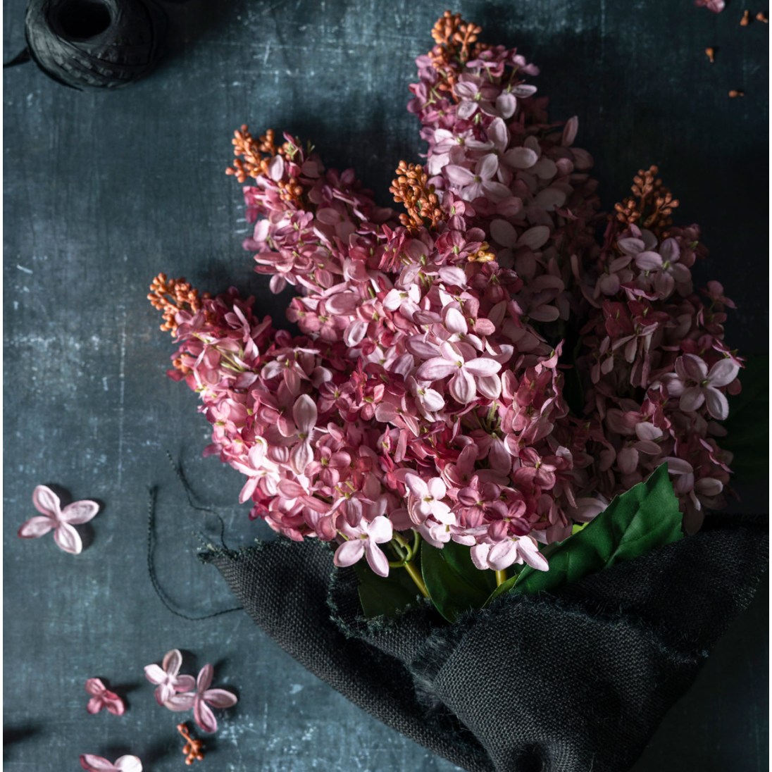 Cone Hydrangea Sunset