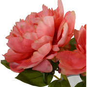 Peony Cutting in Glass 9"H