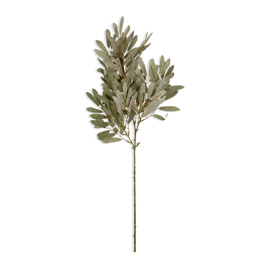 Willow, Soft Green Stem