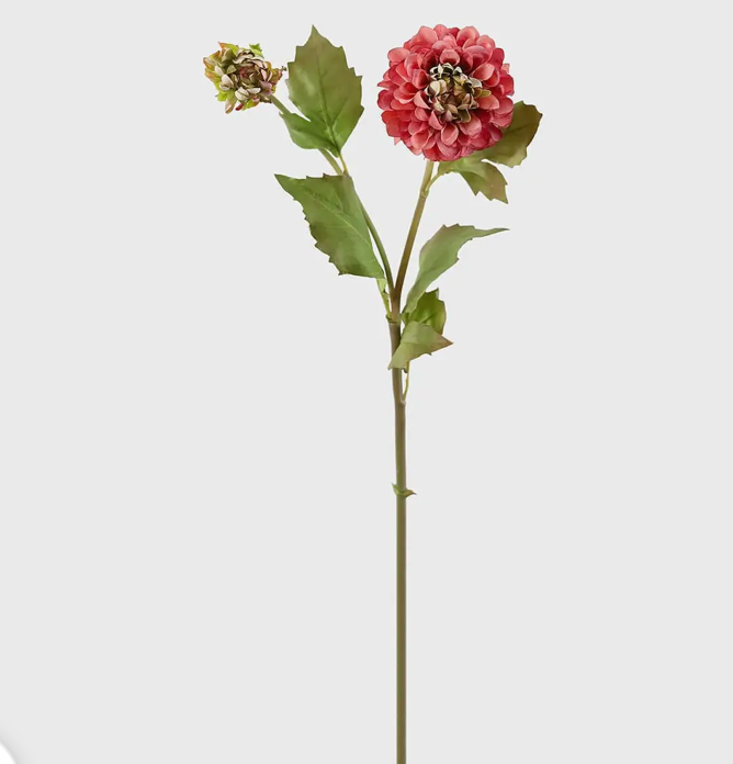 Fall Dahlia Stem