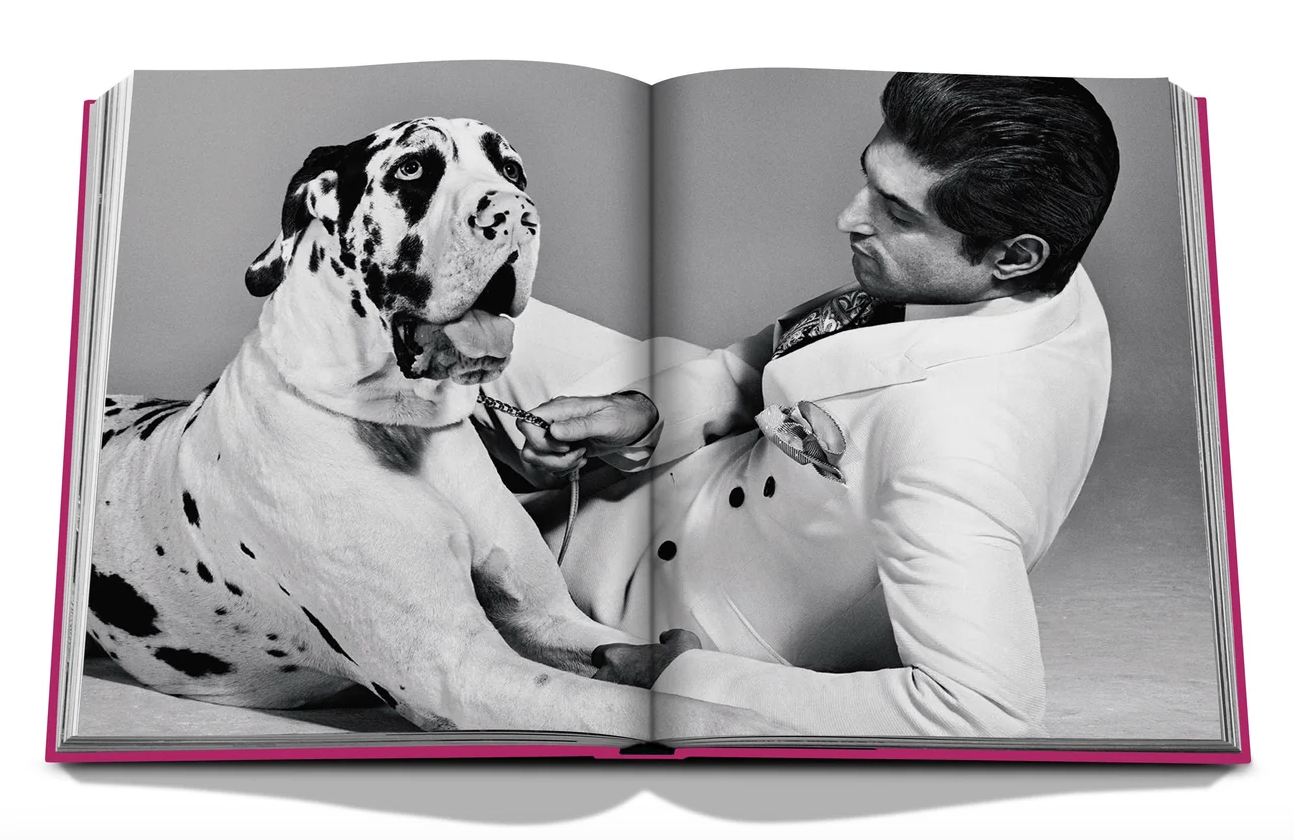Chic Dogs