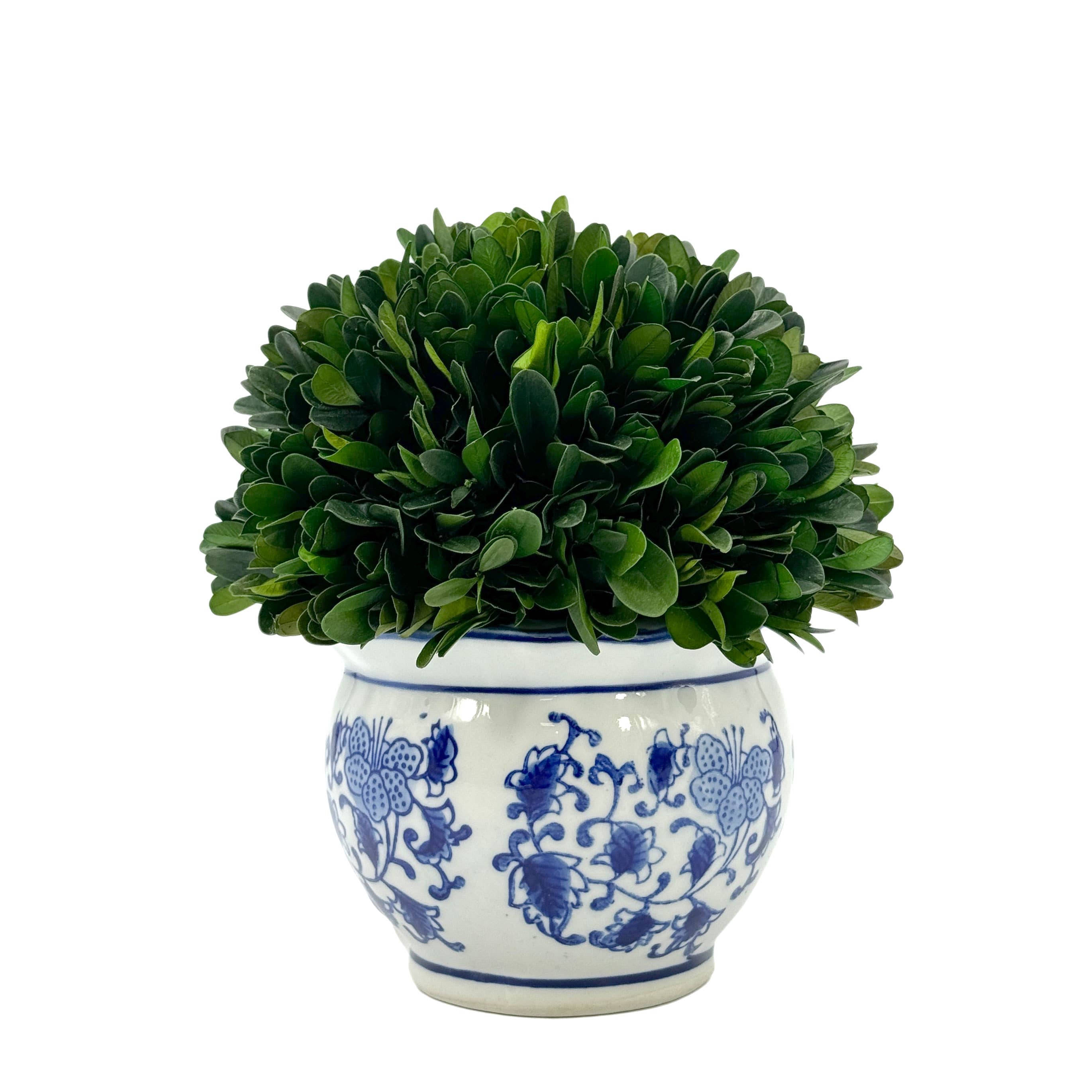 Boxwood Ball Topiary in Round Blue & White Ceramic Pot