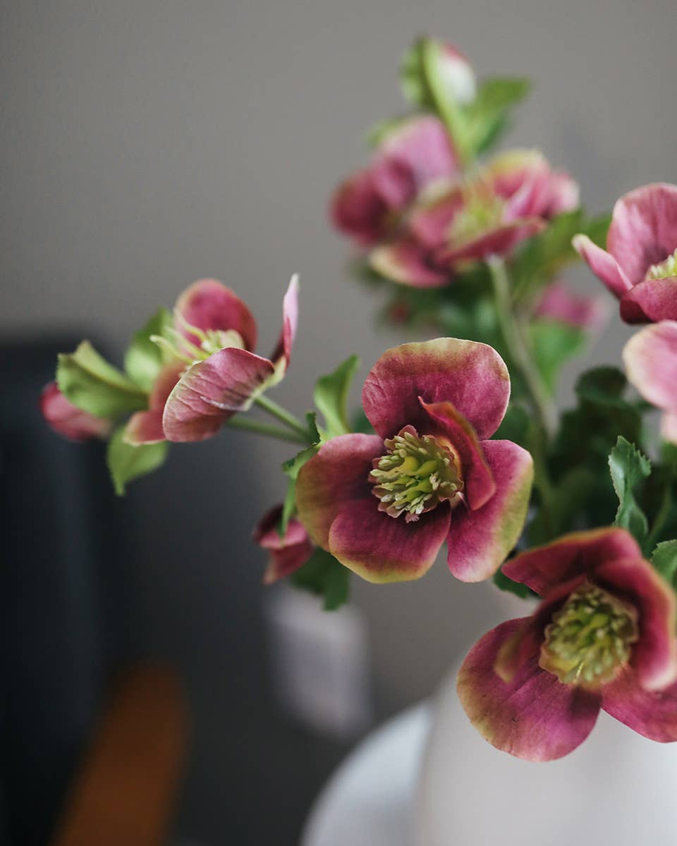 Real Touch Mauve Pink Hellebore 18
