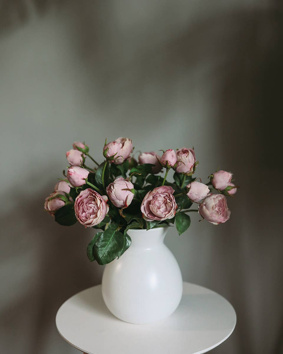Mauve English Rose 23