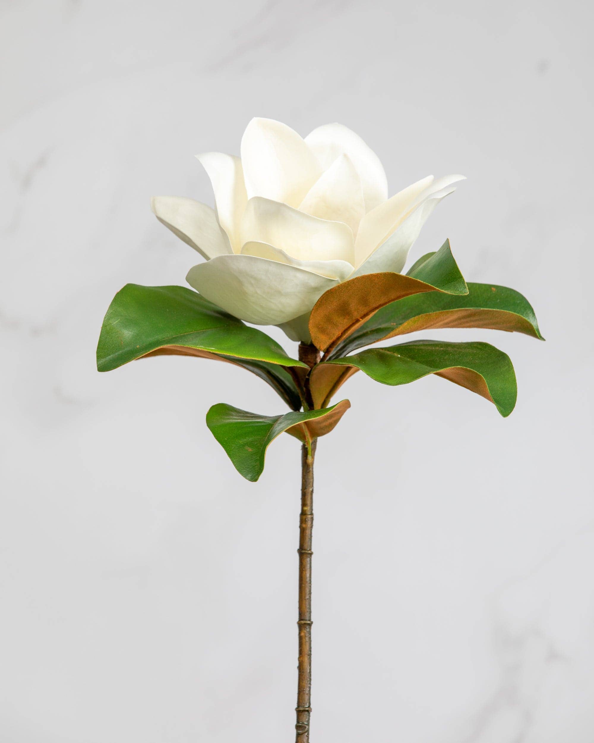 White Faux Magnolia 29