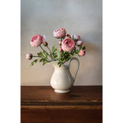 21" Light Pink Ranunculus
