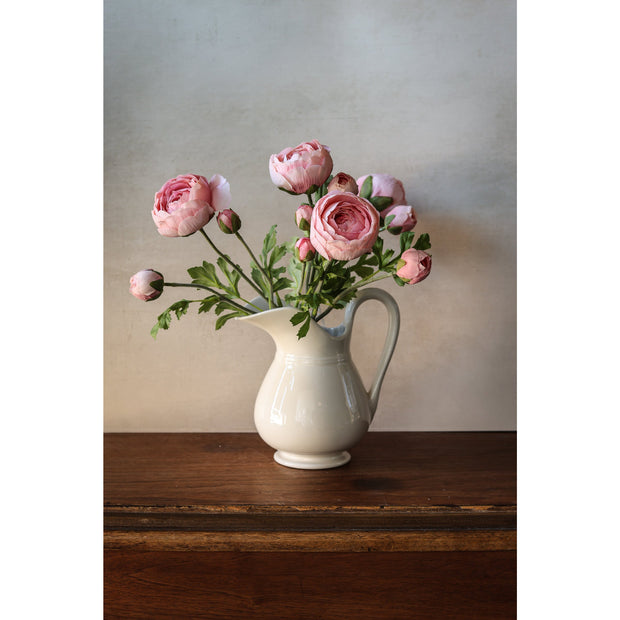 21" Light Pink Ranunculus