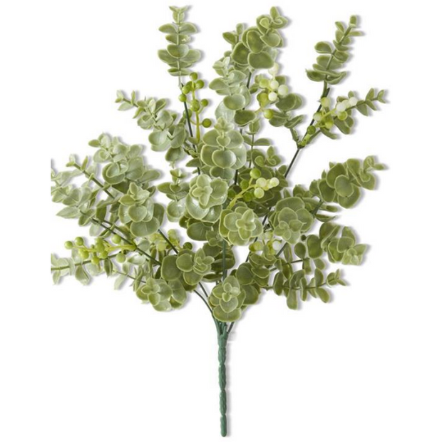 Eucalyptus Bush W/ White Berries
