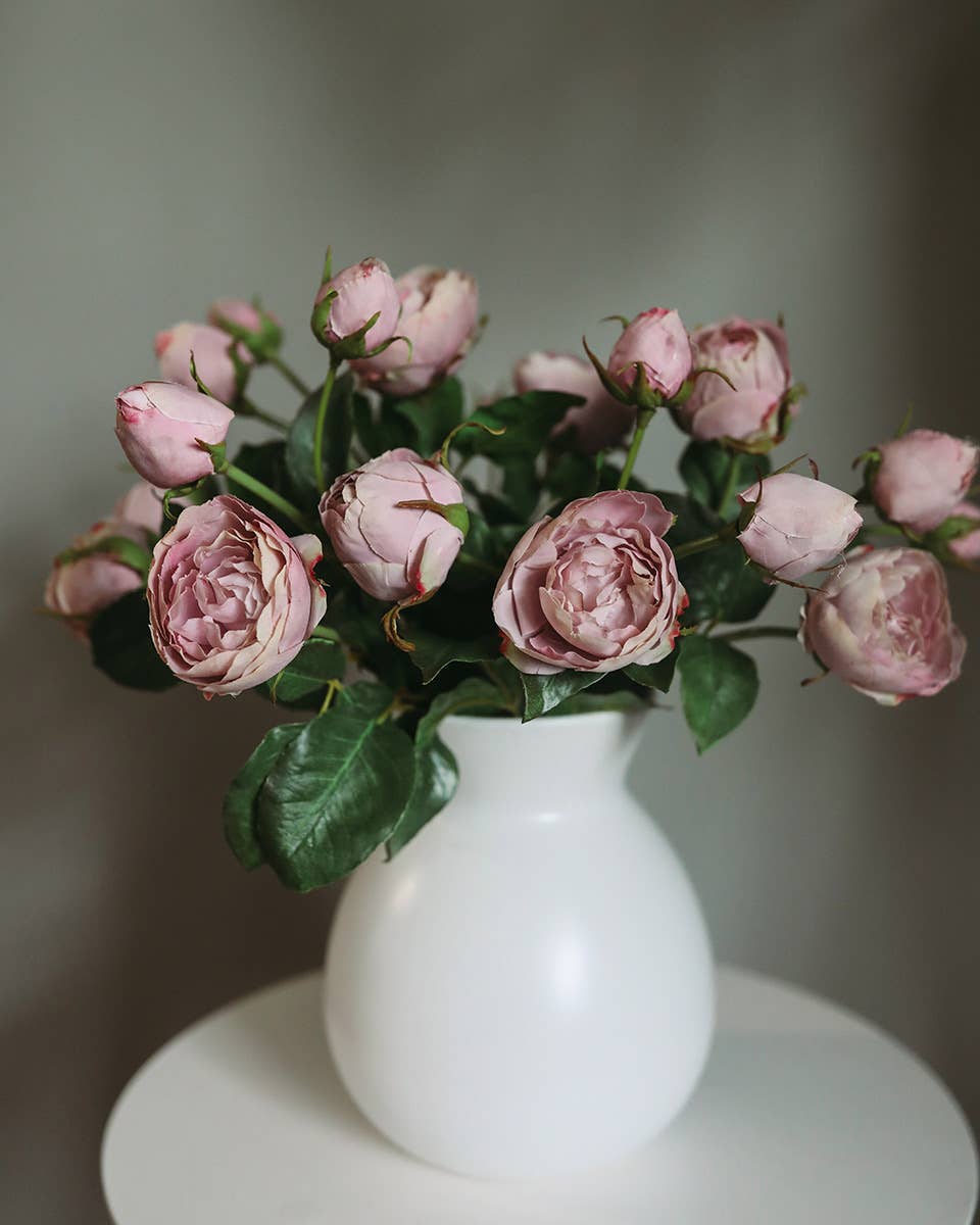 Mauve English Rose 23