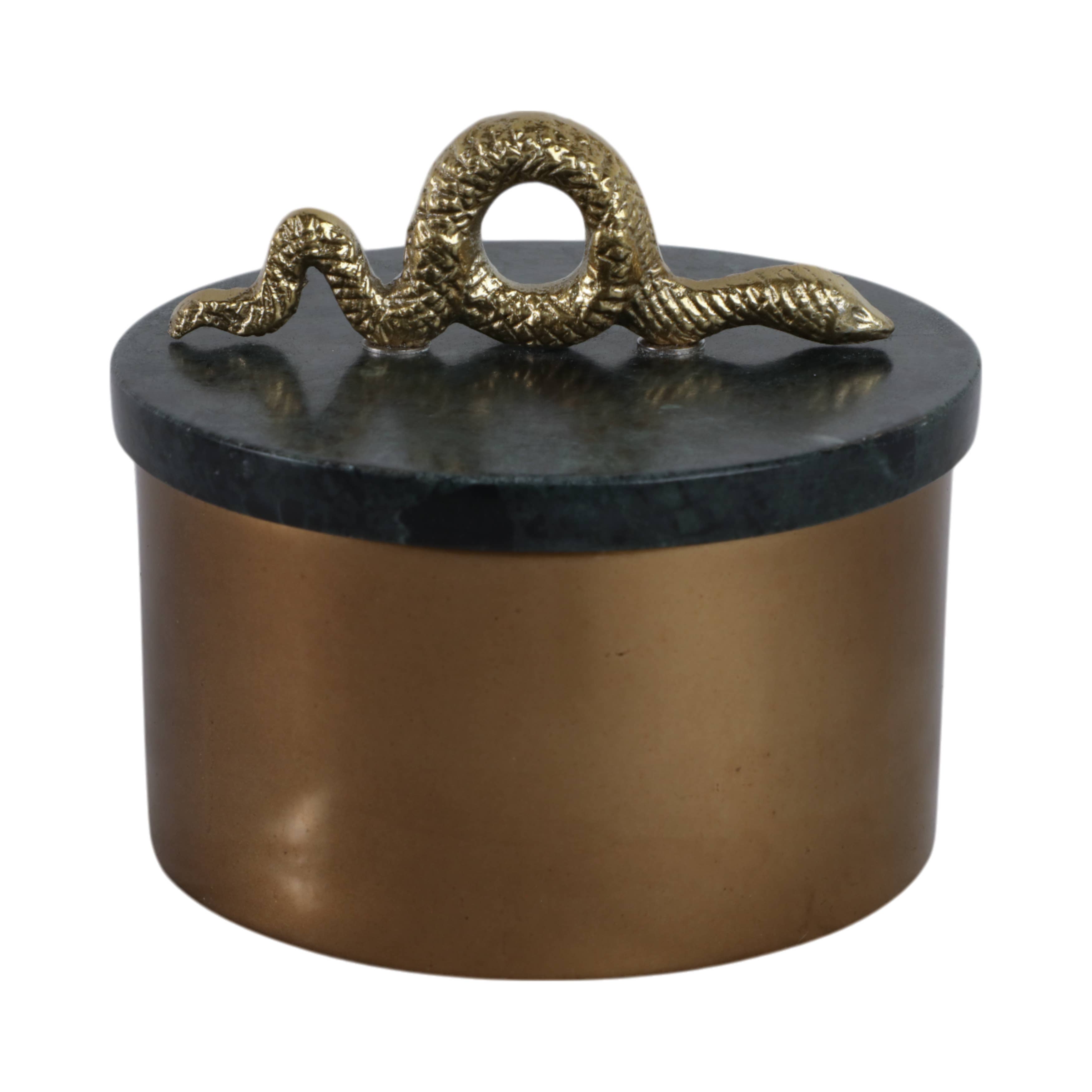 Green Metal Snake Box
