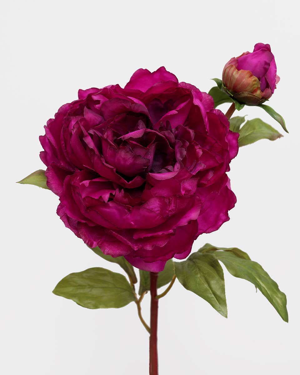 Faux Burgundy Pink Peony 20