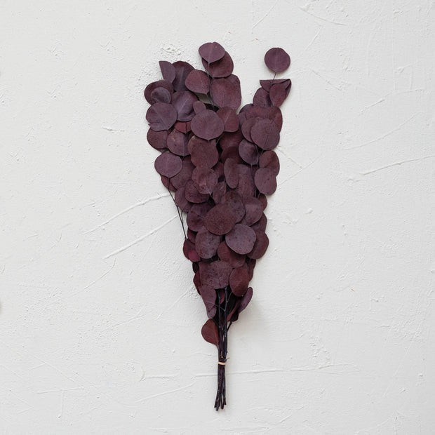 Dried Natural Eucalyptus Bunch