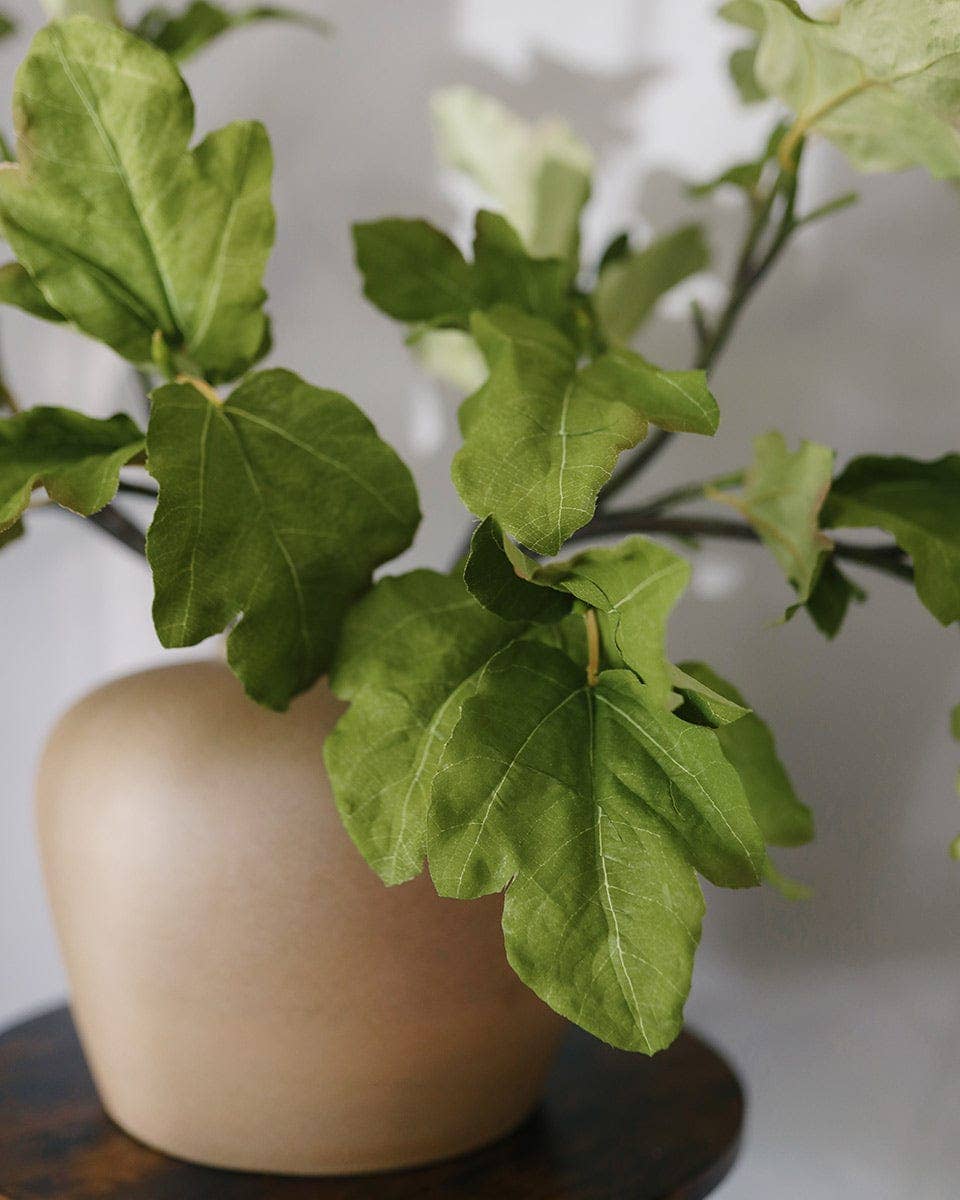 Fig Leaf Branch 39