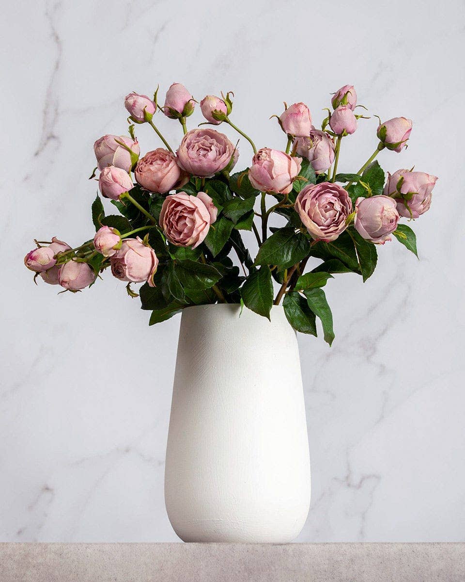 Mauve English Rose 23