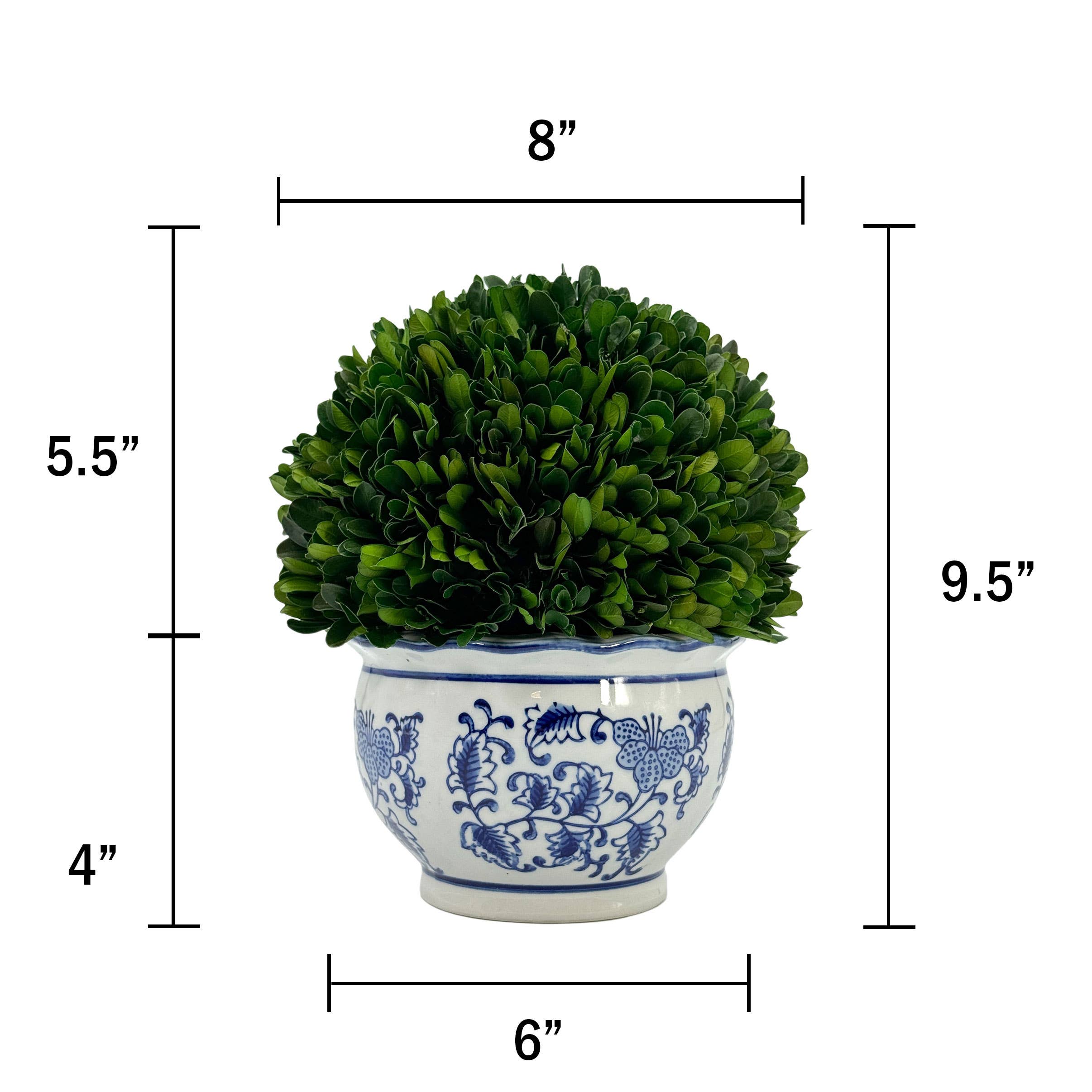 Boxwood Ball Topiary in Round Blue & White Ceramic Pot