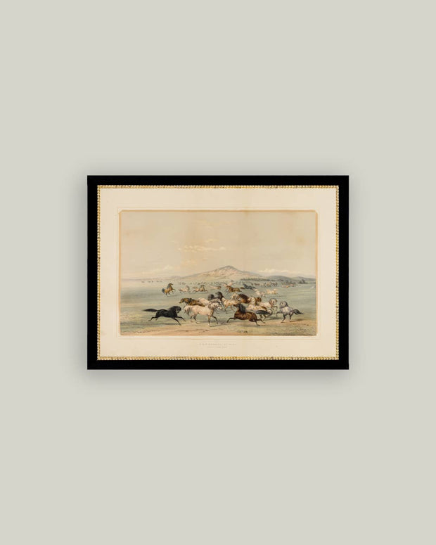 Field Of Horses Framed Antique Art