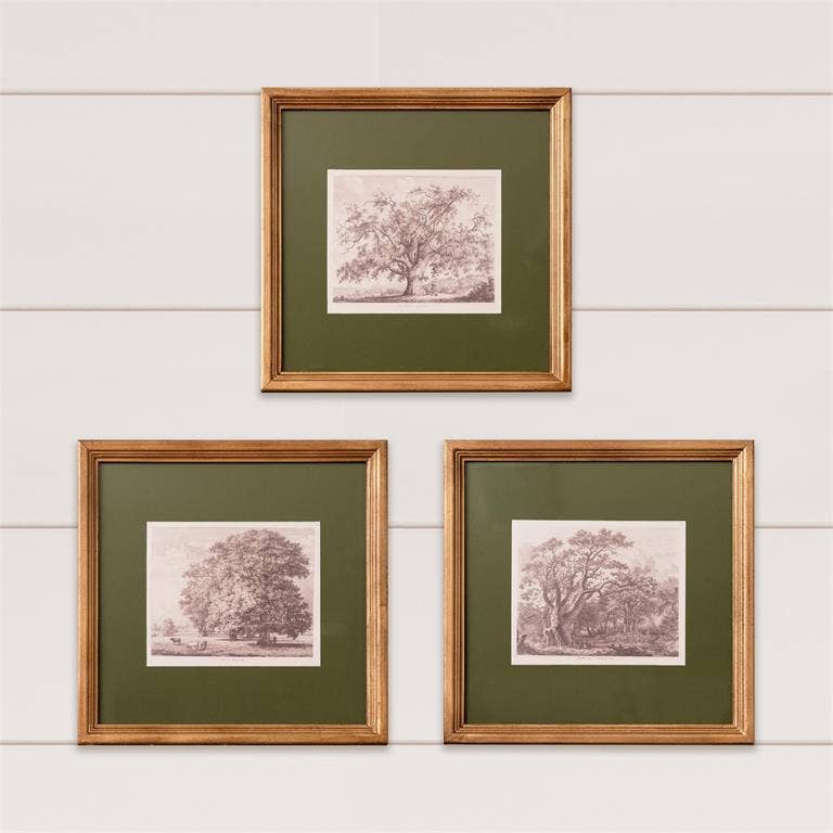 Olive Matted Tree Sketch Framed Print