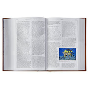 1,000 Places To See Before You Die