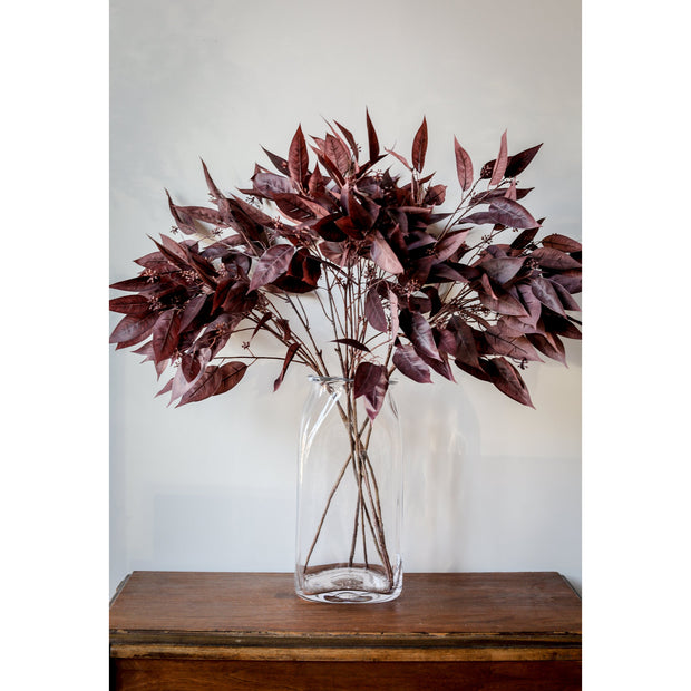 36.5" Eucalyptus Seed Branch