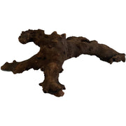 Wood Burl Piece