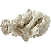 Genuine Coral Object