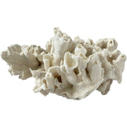 Genuine Coral Object