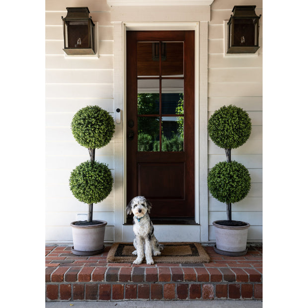 15" Boxwood Double Ball Topiary, 54"H